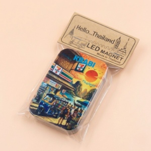 01 LED Light Magnet Set (x6)