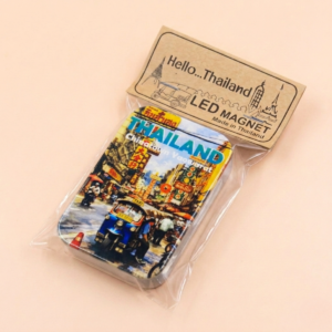 08 LED Light Magnet Set (x6)