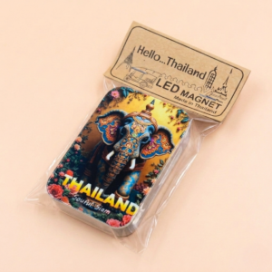 10 LED Light Magnet Set (x6)